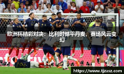 欧洲杯精彩对决：比利时憾平丹麦，赛场风云变幻