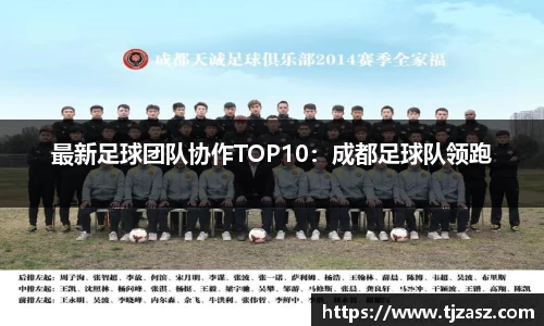 最新足球团队协作TOP10：成都足球队领跑